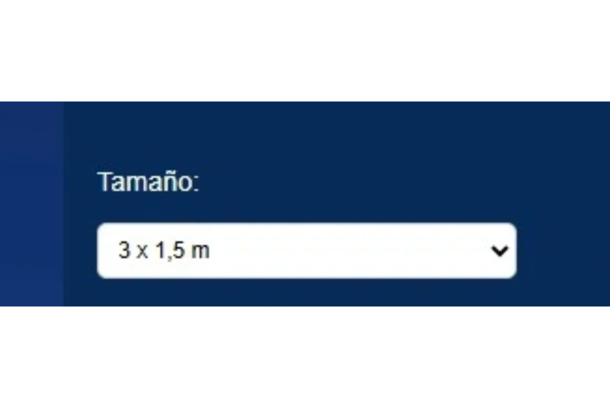tamaño de las banderas en el diseñador online
